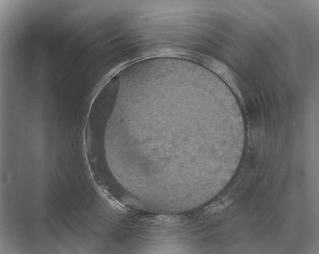 X0000074000954200609181805