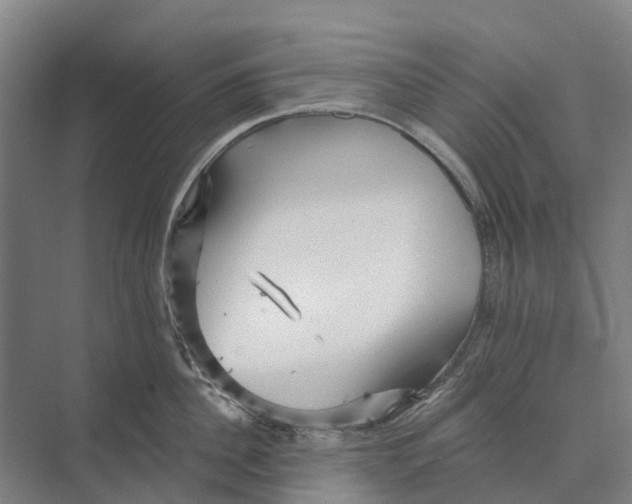 X0000074000956200609181805