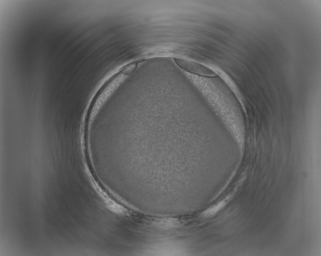 X0000074000957200609181805