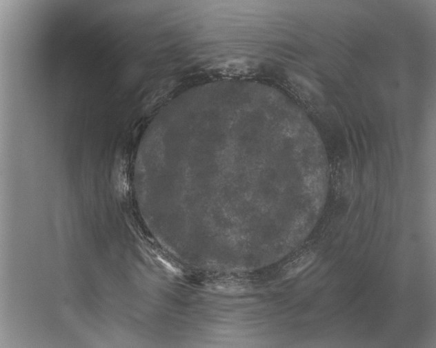 X0000074000962200609181804