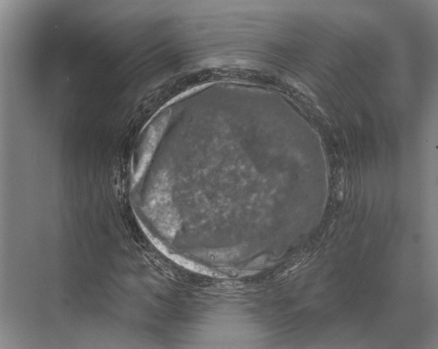 X0000074000966200609181804