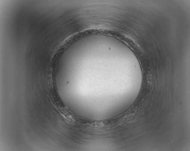 X0000074000968200609181804