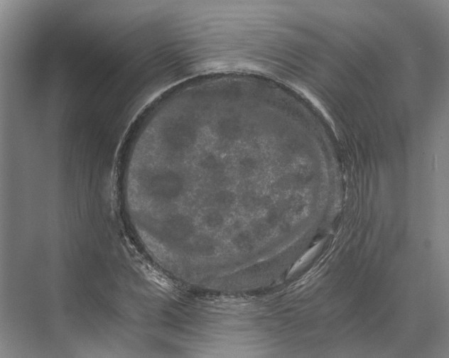 X0000074000975200609181804