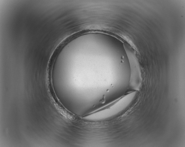 X0000074000976200609181804