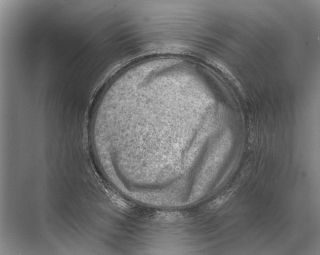 X0000074000978200609181804