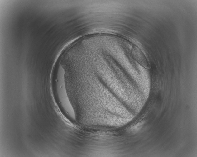 X0000074000987200609181804