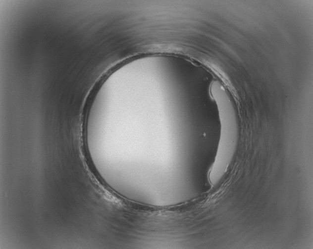 X0000074000992200609181803