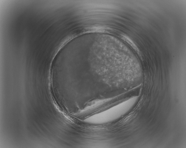 X0000074000994200609181803