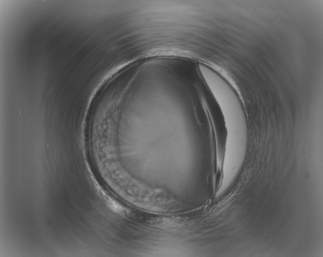 X0000074000995200609181803