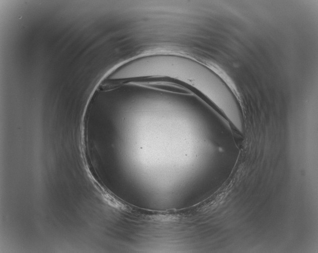 X0000074000996200609181803