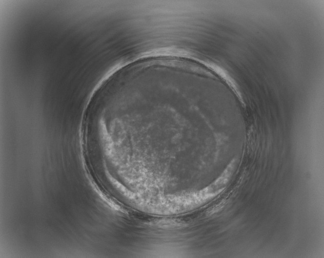 X0000074000998200609181803