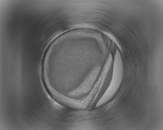 X0000074000999200609181803