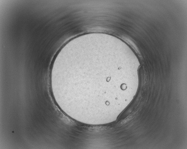 X0000074001000200609181803