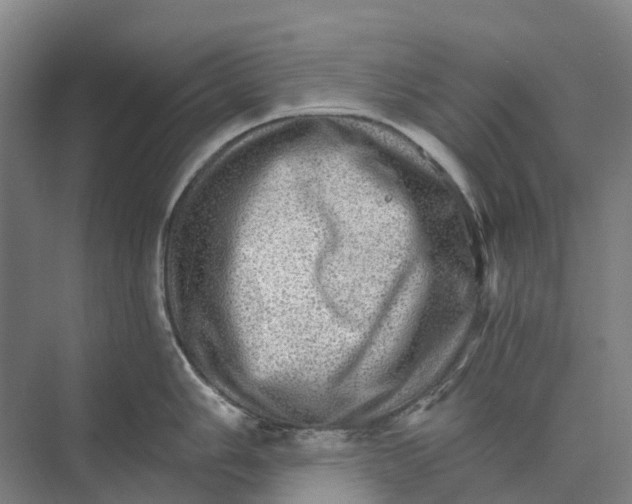 X0000074001006200609181803