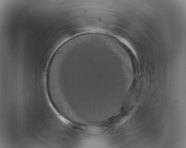 X0000074001007200609181803