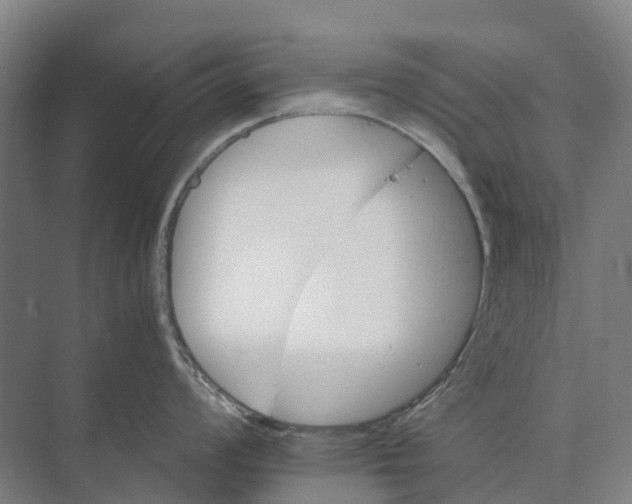 X0000074001008200609181803