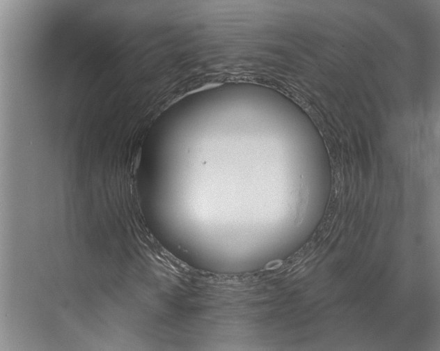 X0000074001010200609181802