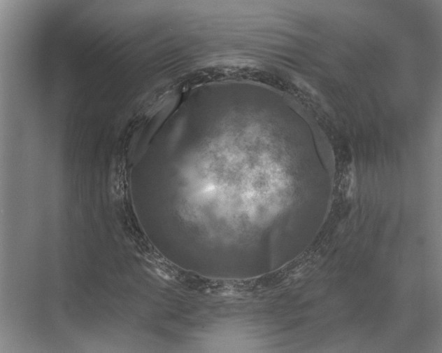 X0000074001014200609181802