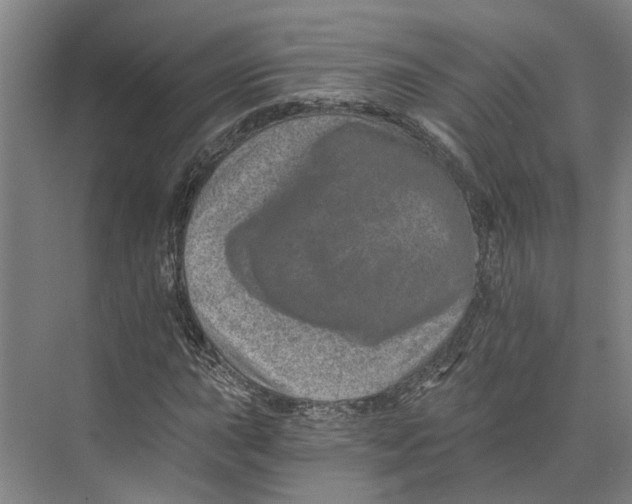 X0000074001015200609181802