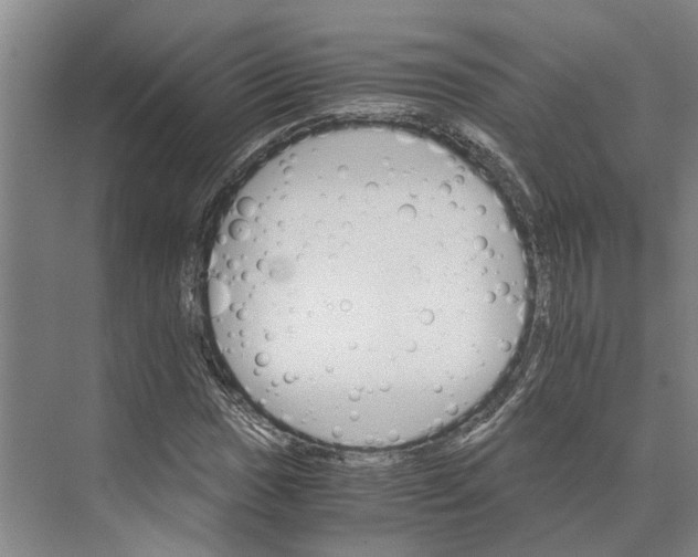 X0000074001017200609181803