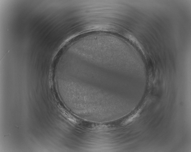 X0000074001019200609181803