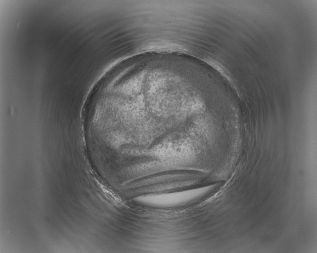 X0000074001022200609181803