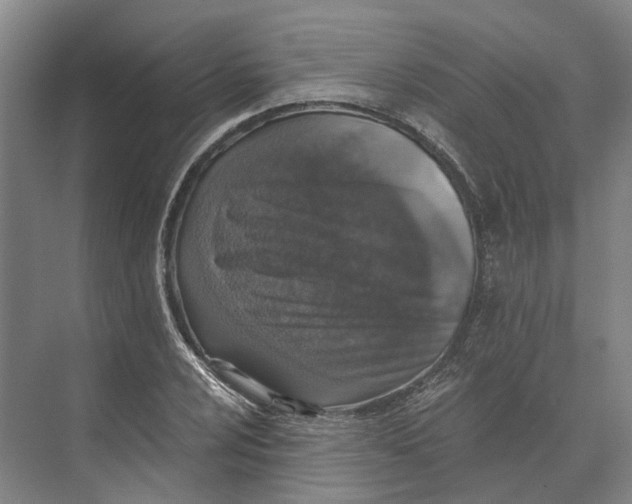 X0000074001024200609181803