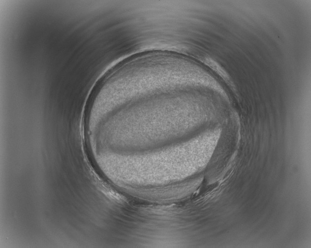 X0000074001028200609181803