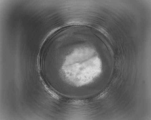 X0000074001030200609181803