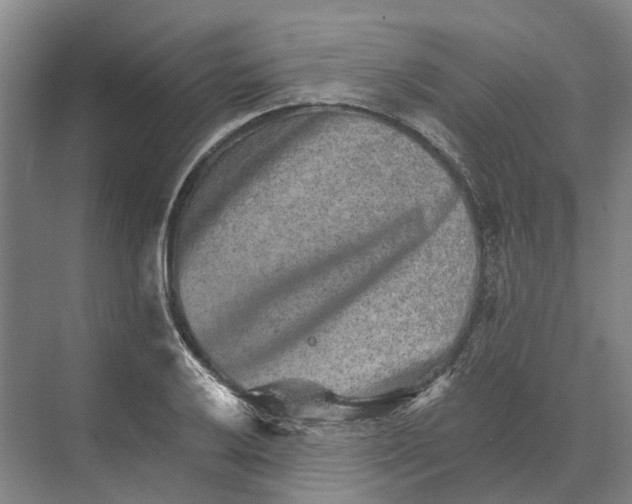 X0000074001032200609181803