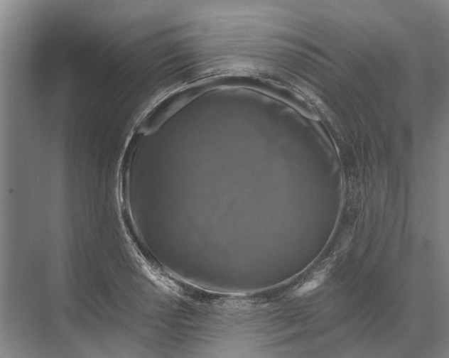 X0000074001034200609181803