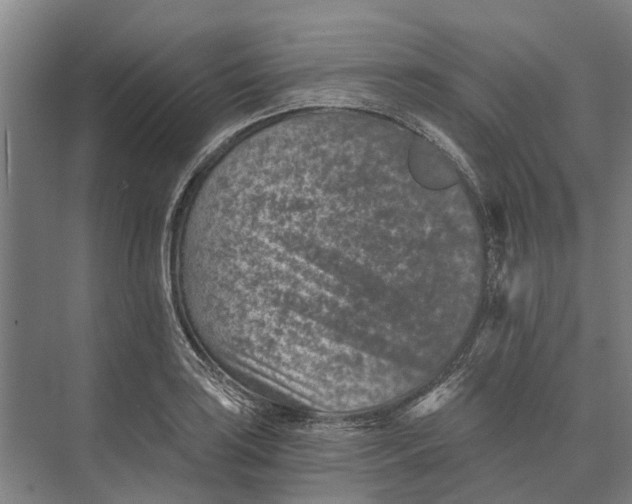 X0000074001035200609181803