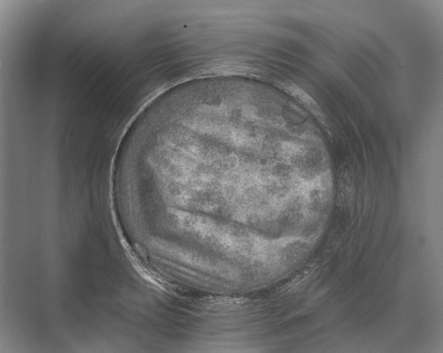 X0000074001039200609181803