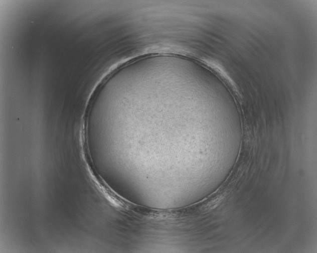 X0000074001040200609181803