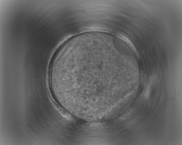 X0000074001043200609181803