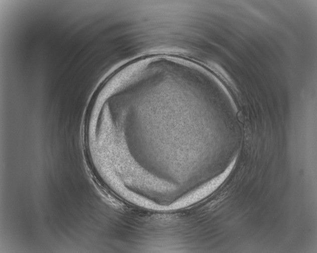 X0000074001044200609181803