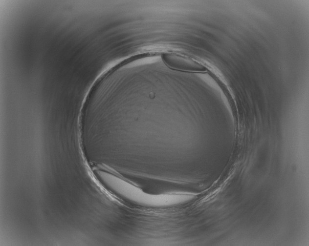 X0000074001045200609181803