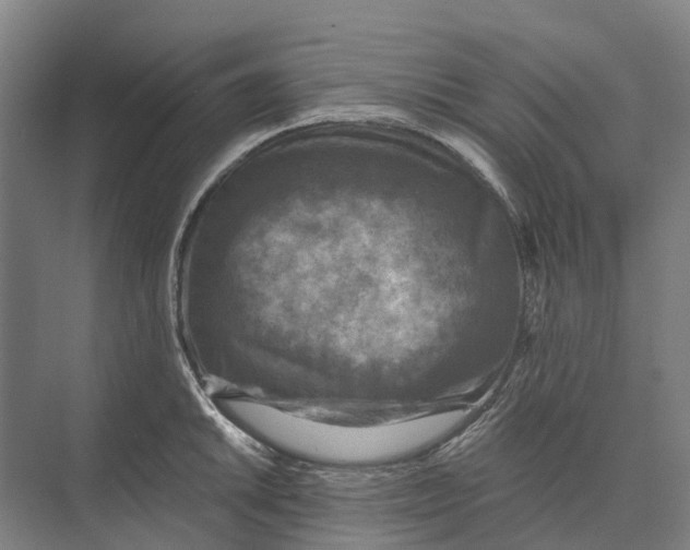 X0000074001046200609181803