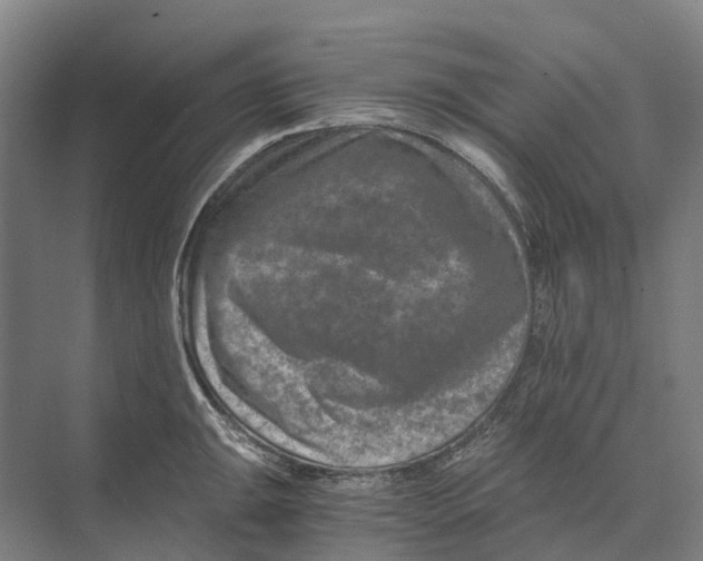 X0000074001047200609181803