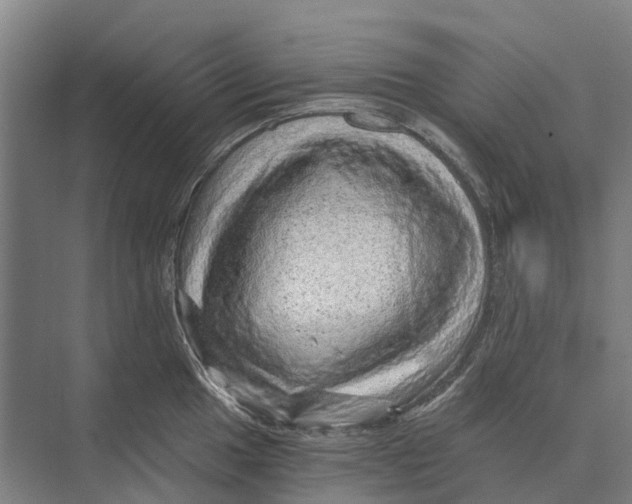 X0000074001049200609181803