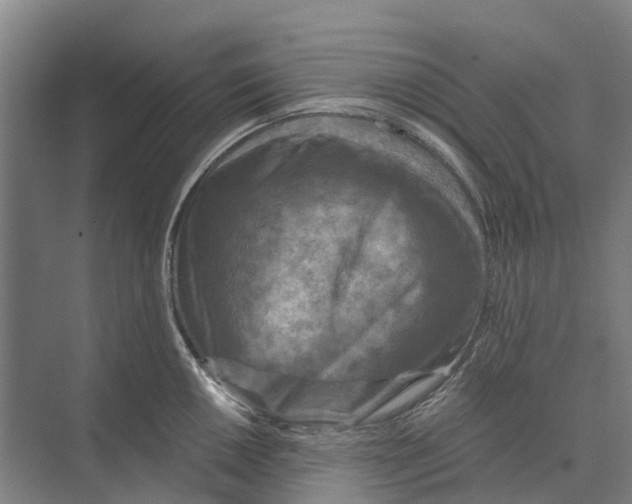 X0000074001050200609181803