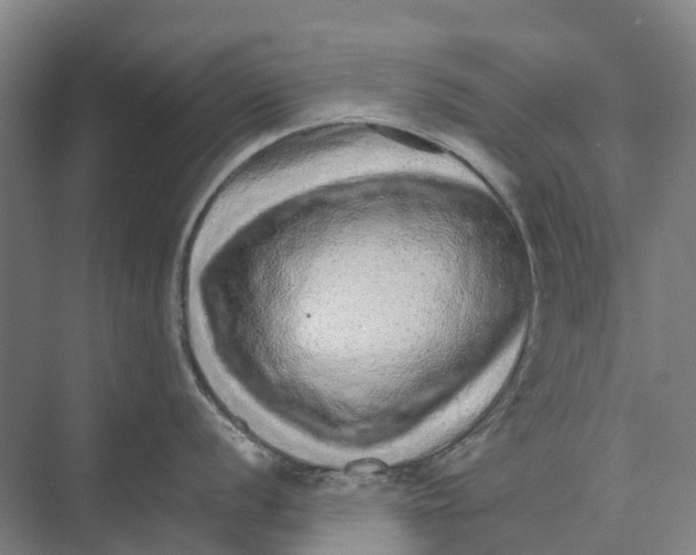 X0000074001056200609181803