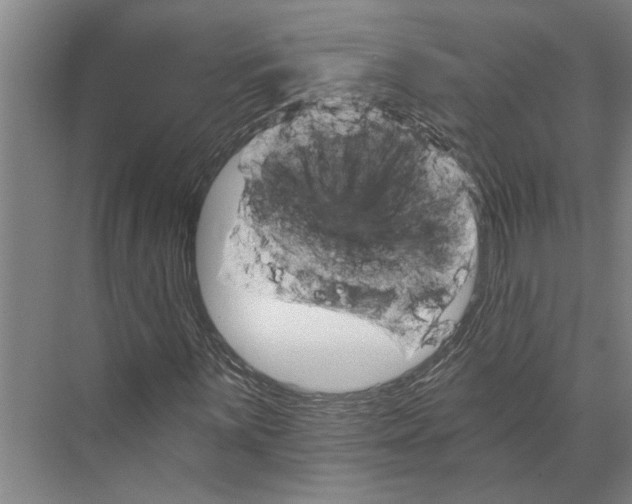 X0000074001059200609181802