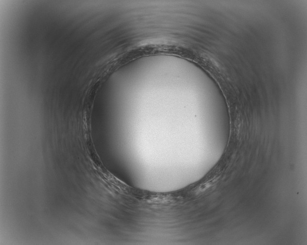 X0000074001062200609181802