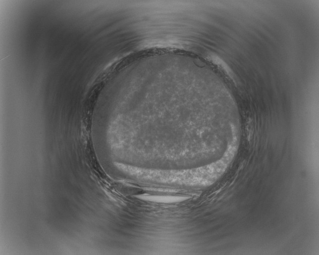 X0000074001064200609181802