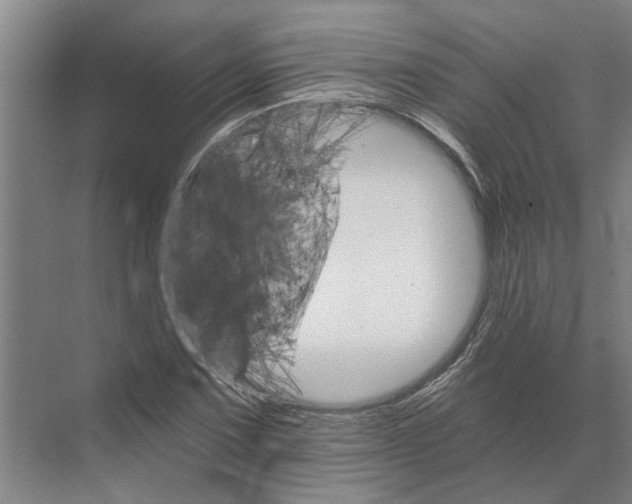 X0000074001067200609181802