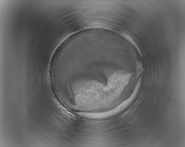 X0000074001068200609181802