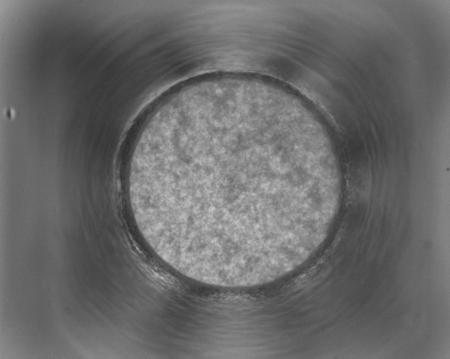 X0000074001070200609181802