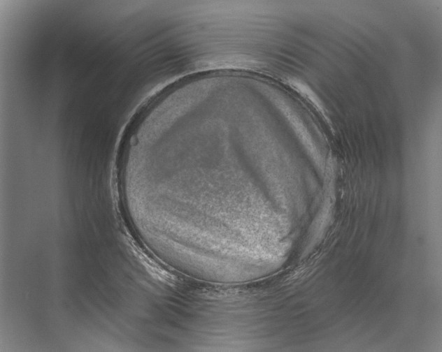 X0000074001072200609181802