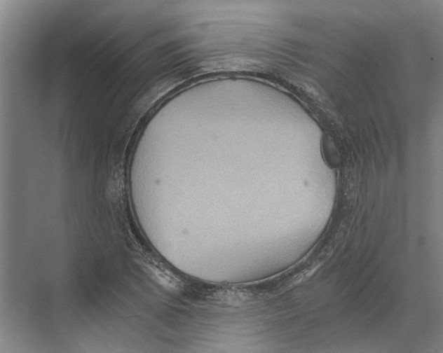 X0000074001073200609181802